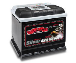  Sznajder Silver 55525